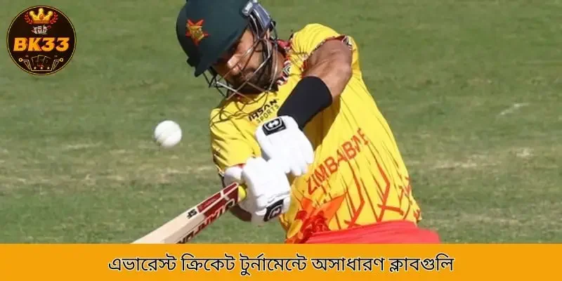 Amazing clubs in the Everest Cricket Tournament